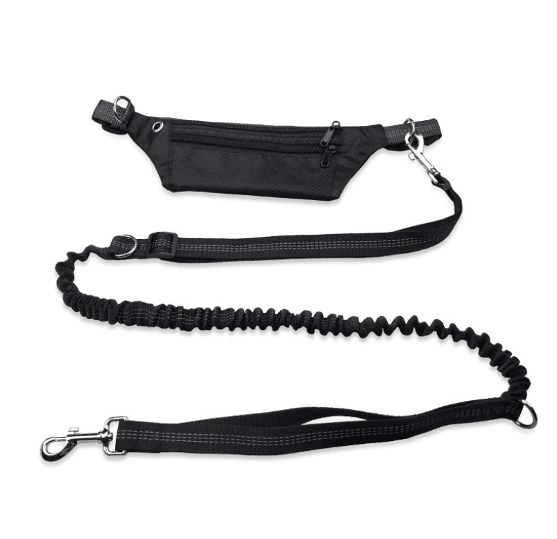 Hands - Free Dog Leash: The Ultimate Freedom For Active Dog Owners - Pets Perfect