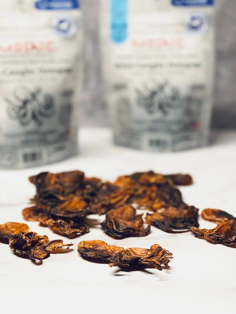 Mosaic Wild-Caught Octopus Whole-Muscle Jerky Dog Treats 1.5 oz - Pets Perfect