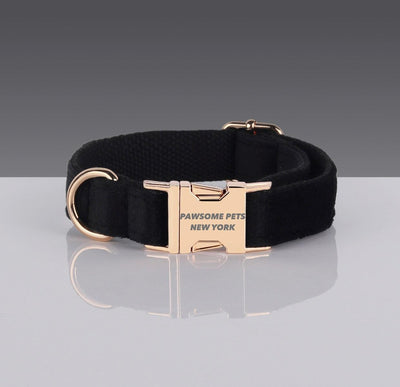 Adjustable Nylon Dog Collar - Quick-Release Buckle, XS