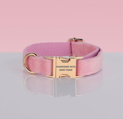 Adjustable Nylon Dog Collar - Quick-Release Buckle, XS