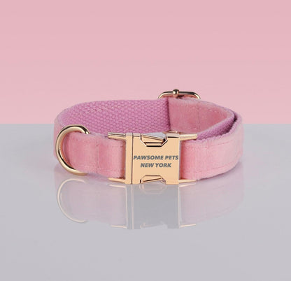 Adjustable Nylon Dog Collar - Quick - Release Buckle - Pets Perfect