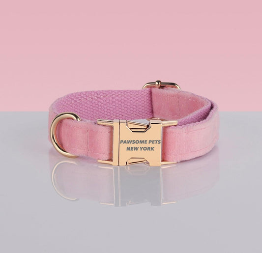 Adjustable Nylon Dog Collar - Quick-Release Buckle