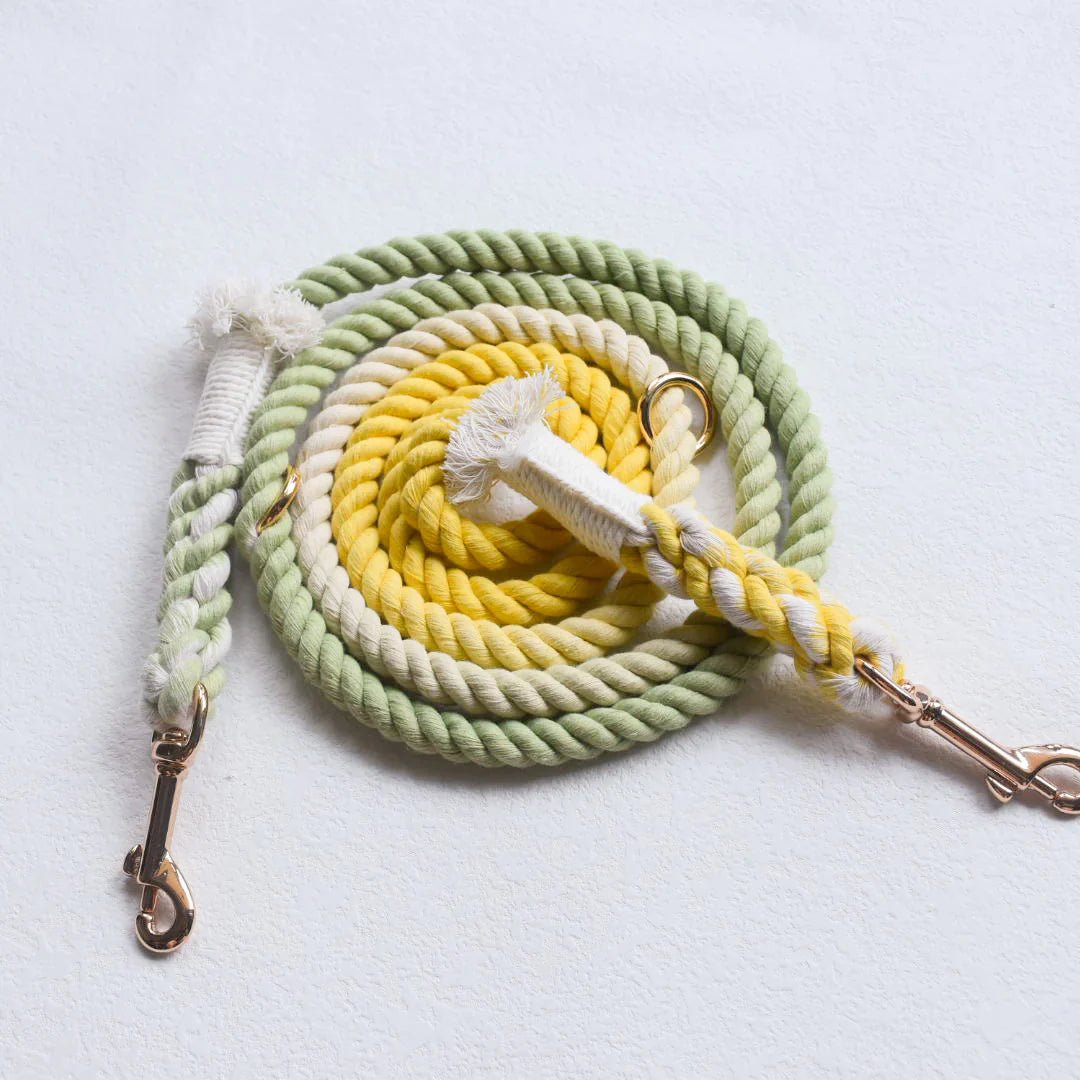 HANDS FREE DOG ROPE LEASH - LIME LEMONADE - Pets Perfect