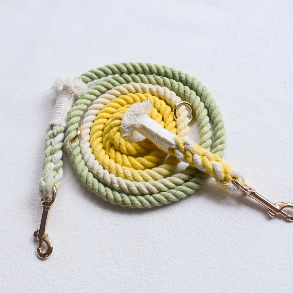 Hands-Free Dog Rope Dog Leash - Lime Lemonade, view 3
