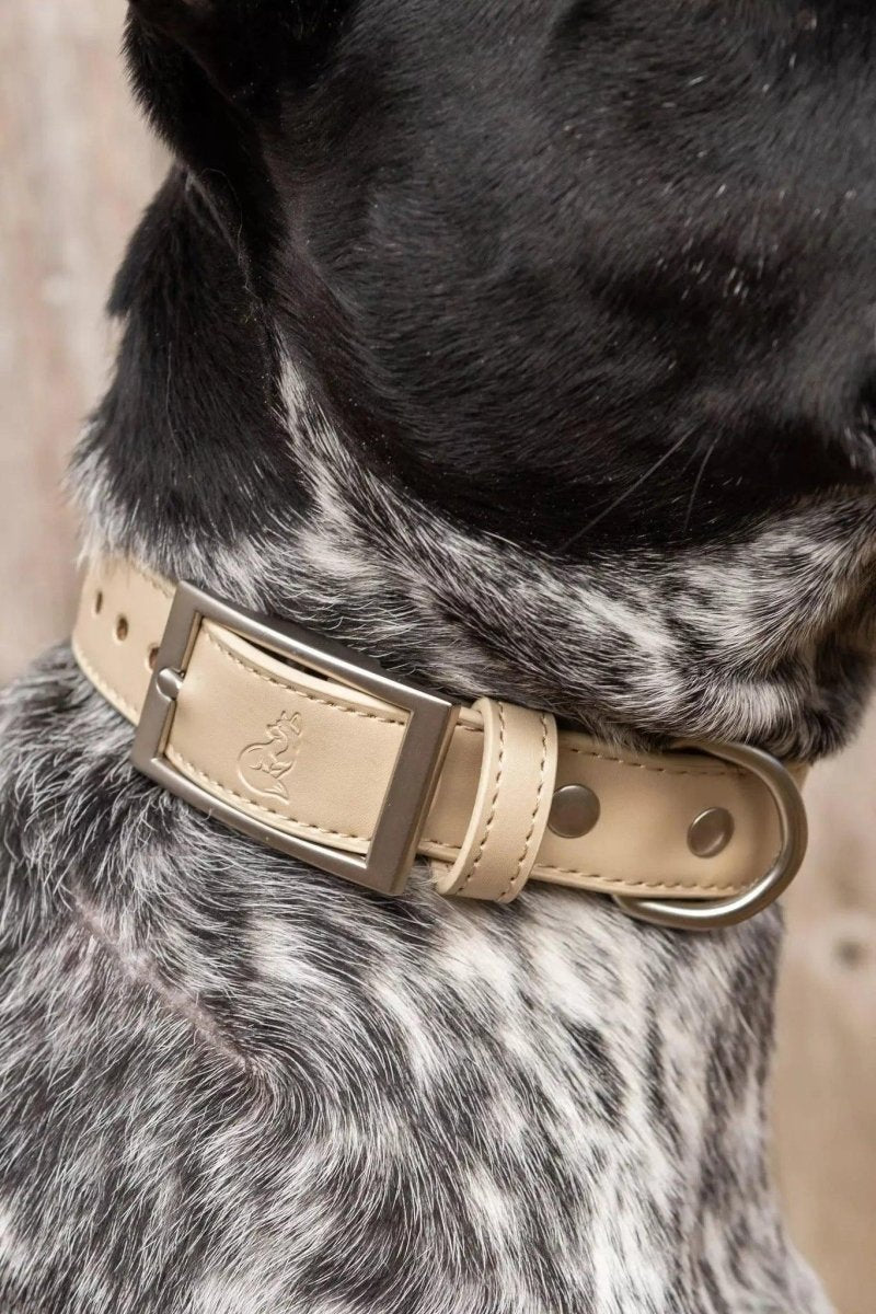 Vegan Leather Dog Collar - Champagne Fizz Design, 13 - 15, view 2