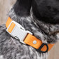 Aria Crimson Glow Waterproof Dog Collar - Bright Orange & Gray Rubber-Coated Collar