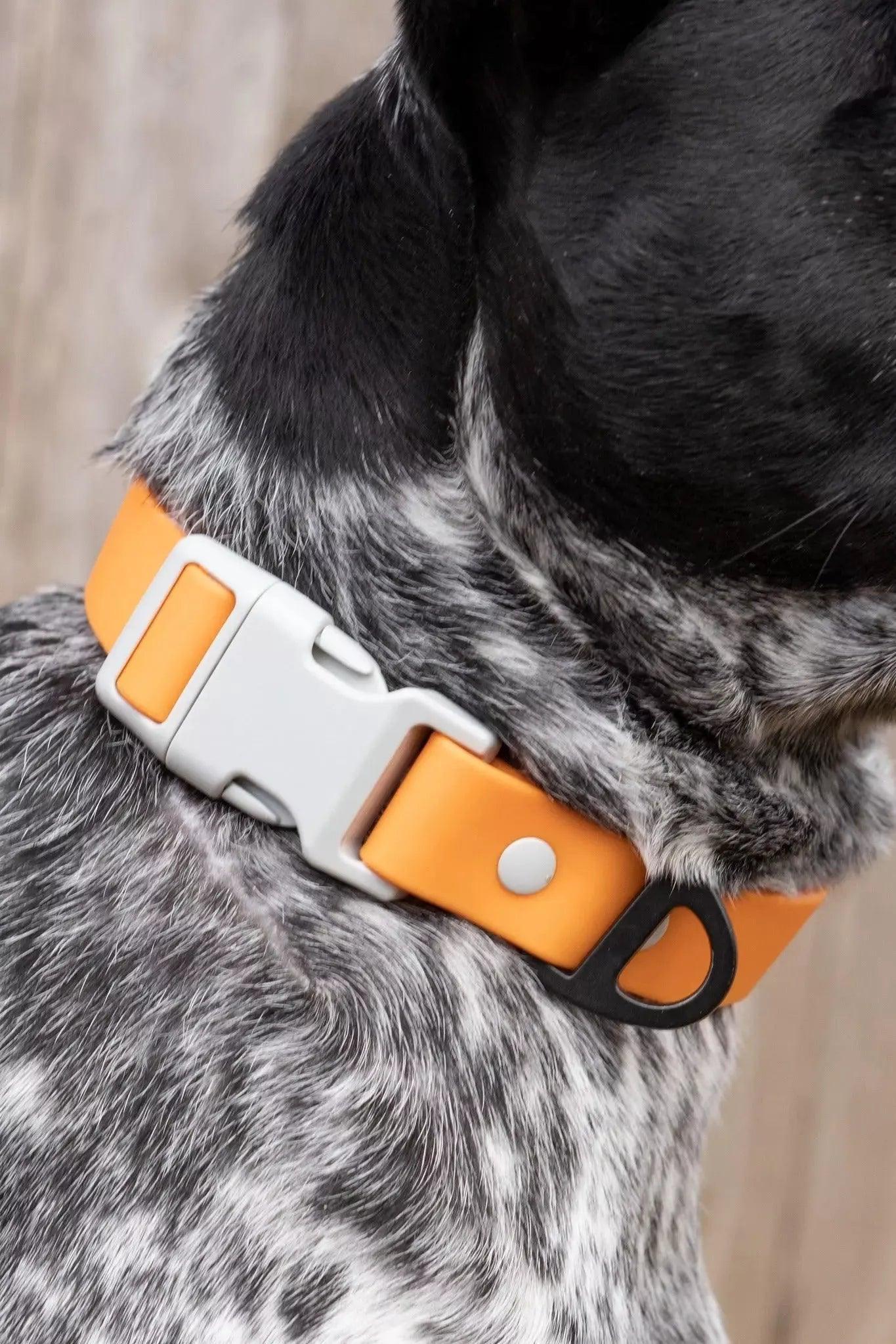 Aria Crimson Glow Waterproof Dog Collar - Bright Orange & Gray Rubber-Coated Collar