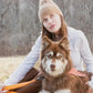 Crimson Glow Waterproof Dog Leash - Pets Perfect
