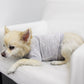COIN1804 Doggy Tee - Burnout Wash Pet Shirt for Dogs & Cats
