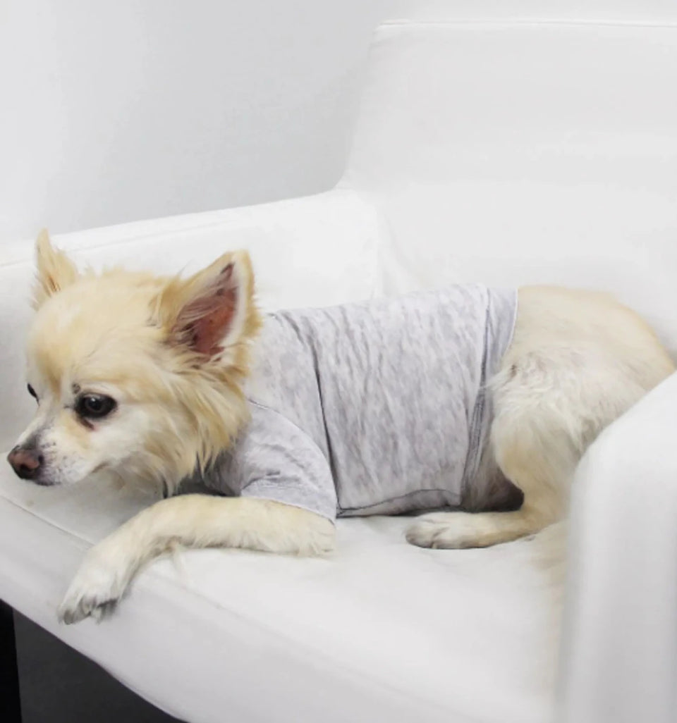 COIN1804 Doggy Tee - Burnout Wash Pet Shirt for Dogs & Cats - Pets Perfect