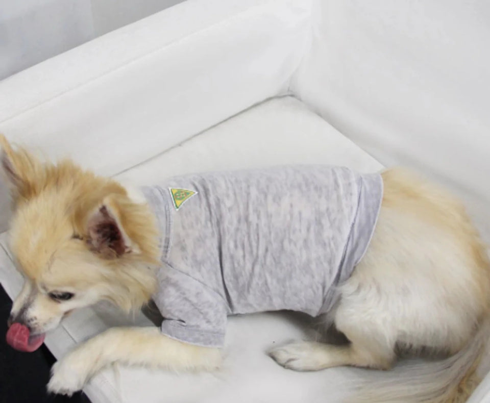 COIN1804 Doggy Tee - Burnout Wash Pet Shirt for Dogs & Cats - Pets Perfect