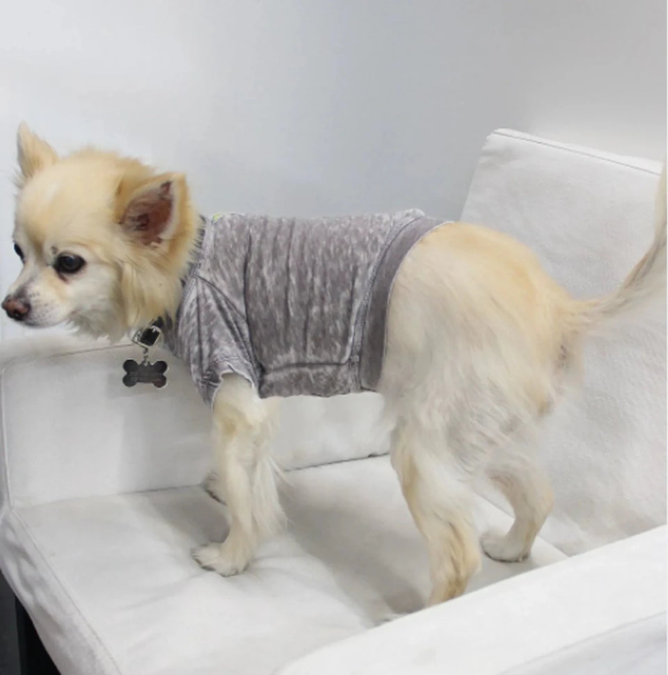 COIN1804 Doggy Tee - Burnout Wash Pet Shirt for Dogs & Cats - Pets Perfect