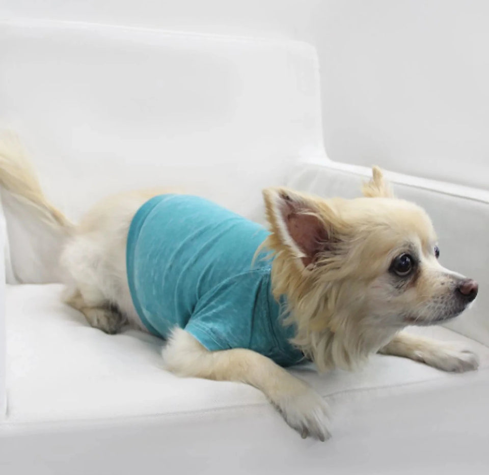 COIN1804 Doggy Tee - Burnout Wash Pet Shirt for Dogs & Cats - Pets Perfect