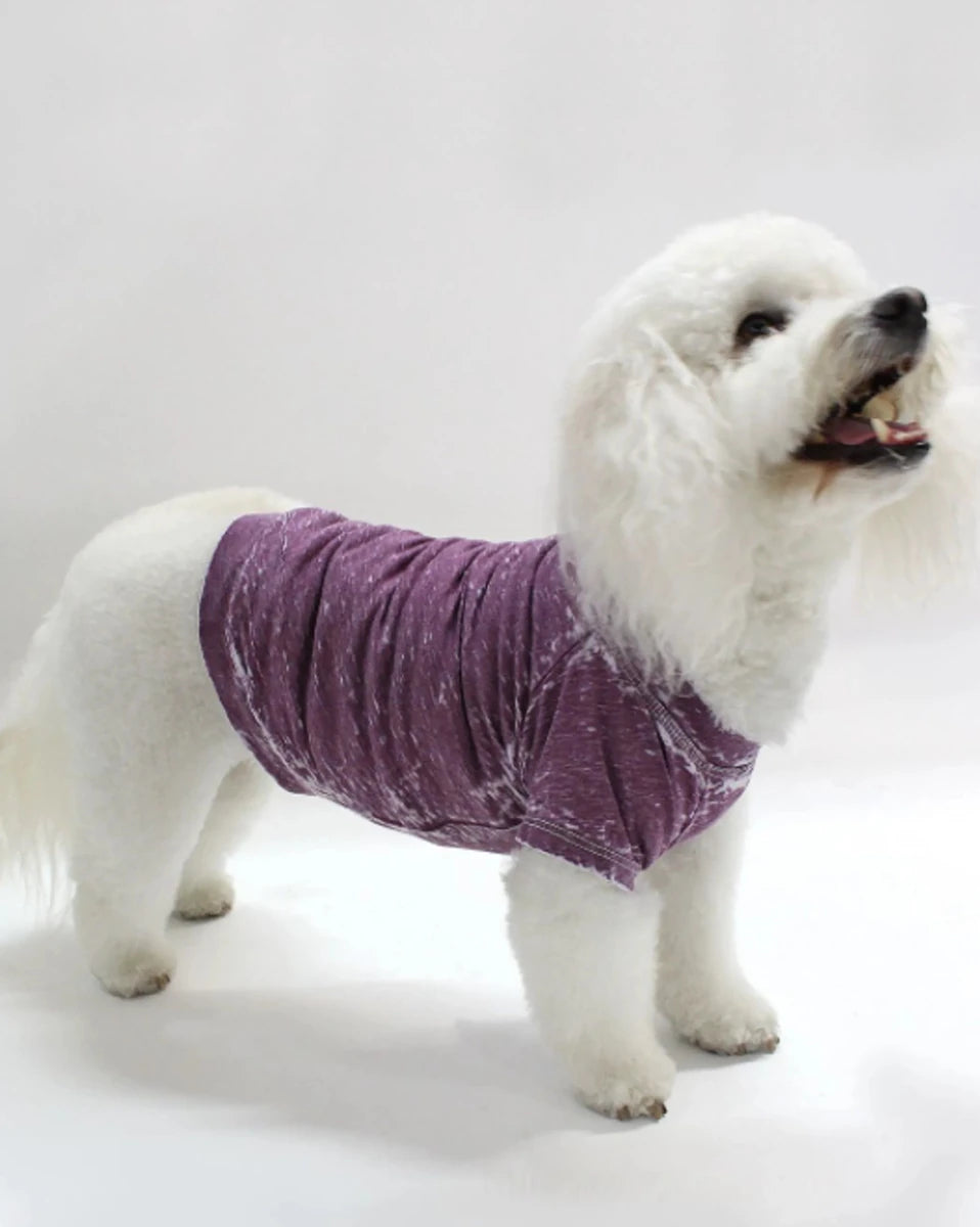 COIN1804 Doggy Tee - Burnout Wash Pet Shirt for Dogs & Cats - Pets Perfect