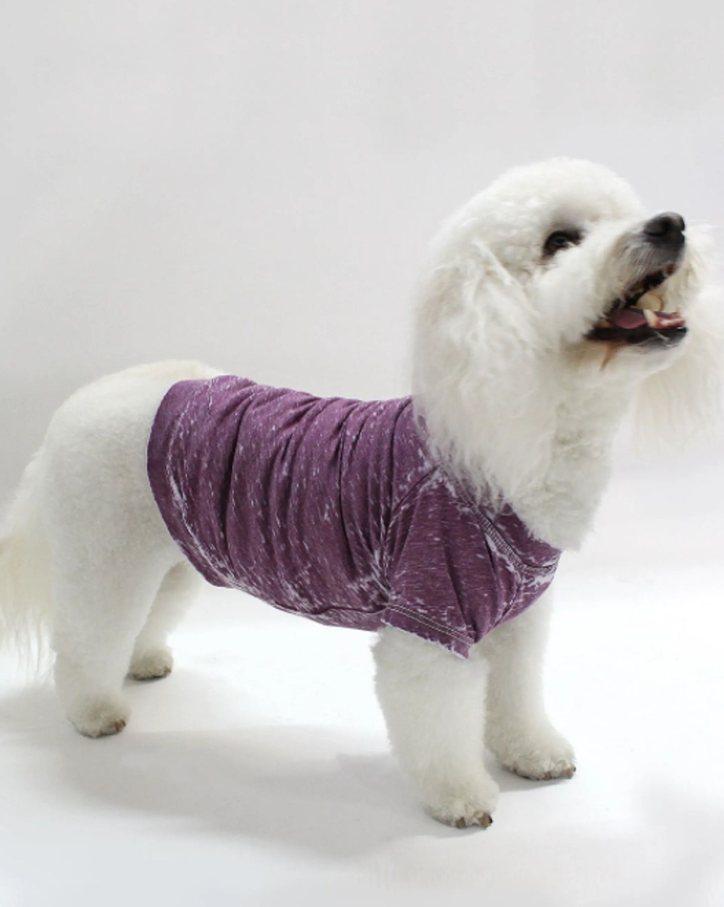 COIN1804 Doggy Tee - Burnout Wash Pet Shirt for Dogs & Cats