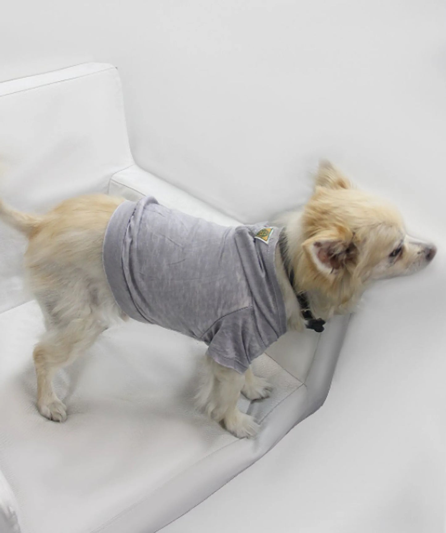 Doggy Hoodie - Burnout Wash Style for Dogs and Cats