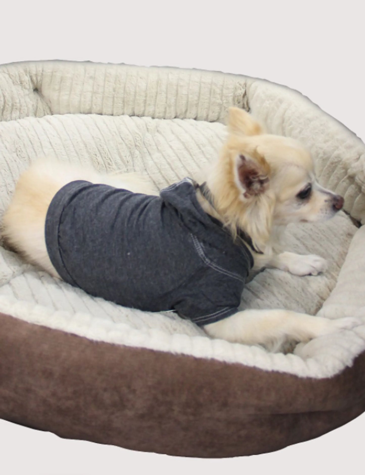 Doggy Hoodie - Burnout Wash Style for Dogs and Cats