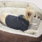 Doggy Hoodie - Burnout Wash Style for Dogs and Cats