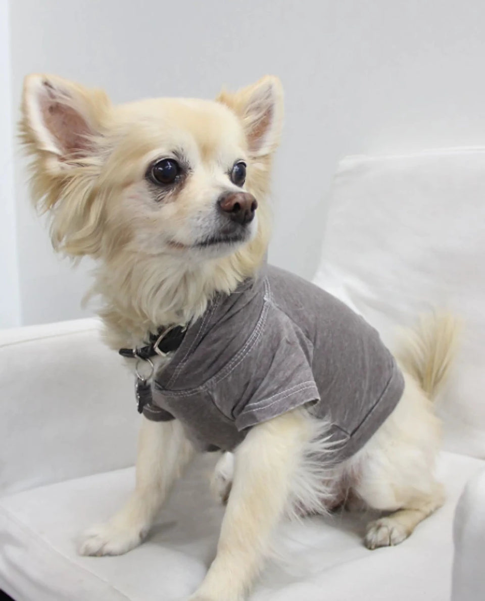 Doggy Hoodie - Burnout Wash Style for Dogs and Cats - Pets Perfect