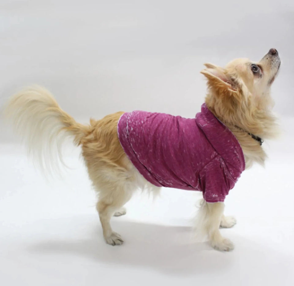 Doggy Hoodie - Burnout Wash Style for Dogs and Cats - Pets Perfect