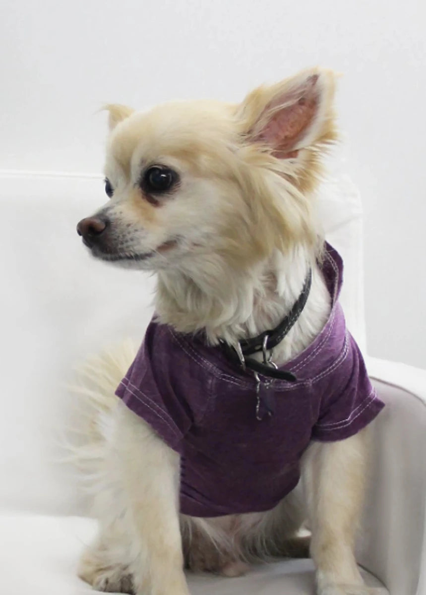 Doggy Hoodie - Burnout Wash Style for Dogs and Cats - Pets Perfect