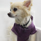 Doggy Hoodie - Burnout Wash Style for Dogs and Cats