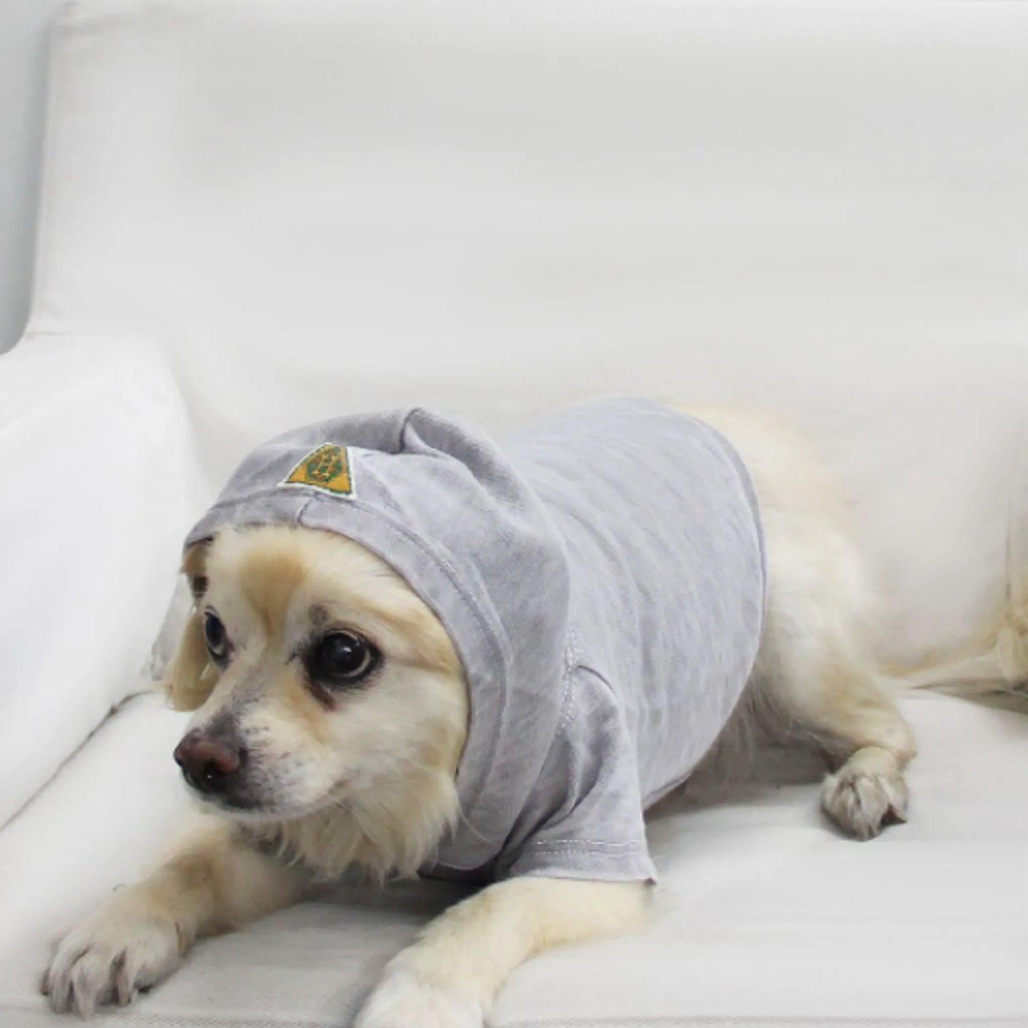 Doggy Hoodie French Terry