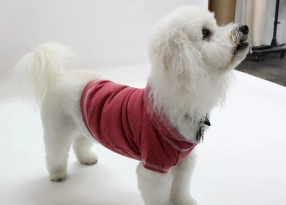 Doggy Hoodie French Terry - Outer Stitch Detail for Dogs and Cats - Pets Perfect