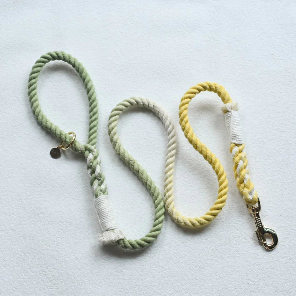 Hands-Free Dog Rope Dog Leash - Lime Lemonade