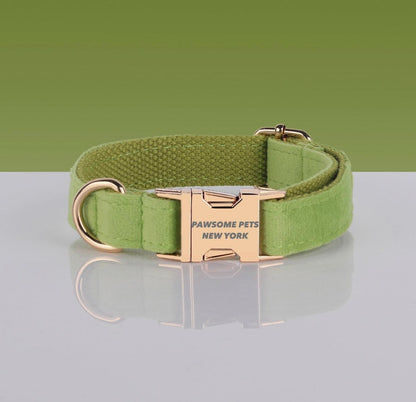 Adjustable Nylon Dog Collar - Quick - Release Buckle - Pets Perfect
