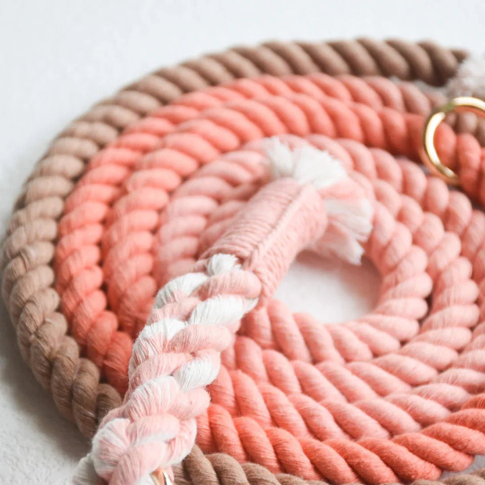 Hands-Free Dog Rope Dog Leash - Peach and Brown, view 2