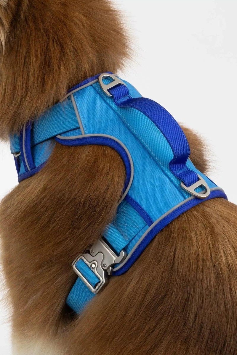 Aria the Fox Dockside Adventures No-Pull Dog Harness, Ultimate Comfort, Candy Blue / Ultramarine/Determine Later, view 5