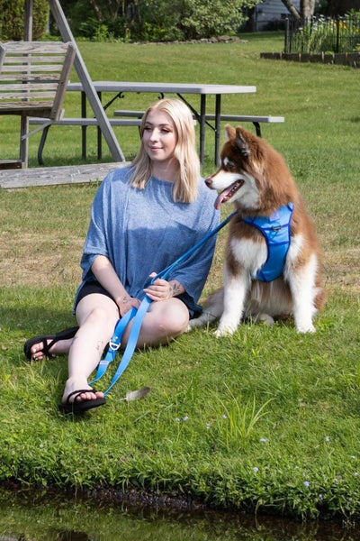 Aria the Fox Dockside Adventures No-Pull Dog Harness, Ultimate Comfort, Candy Blue / Ultramarine/Small