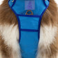 Aria the Fox Dockside Adventures No-Pull Dog Harness - Ultimate Comfort