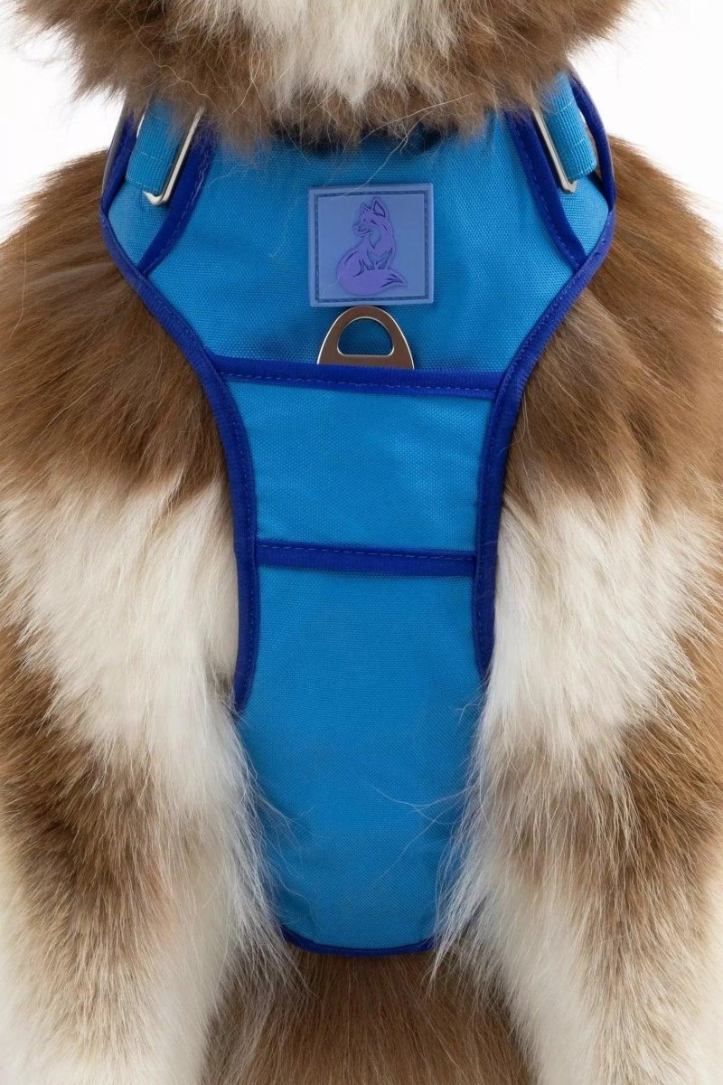 Aria the Fox Dockside Adventures No-Pull Dog Harness, Ultimate Comfort, Candy Blue / Ultramarine/Medium, view 2