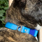 Dockside Adventures Waterproof Dog Collar