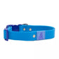 Dockside Adventures Waterproof Dog Collar