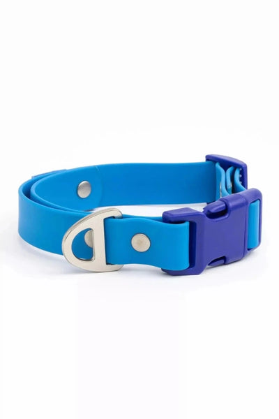 Dockside Adventures Waterproof Dog Collar, Candy Blue / Ultramarine/11 - 13