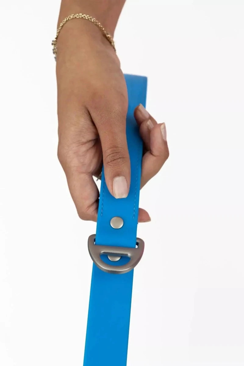 Dockside Adventures Waterproof Dog Leash, view 4