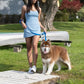 Dockside Adventures Waterproof Dog Leash - Pets Perfect