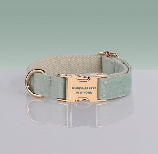 Adjustable Nylon Dog Collar - Quick-Release Buckle