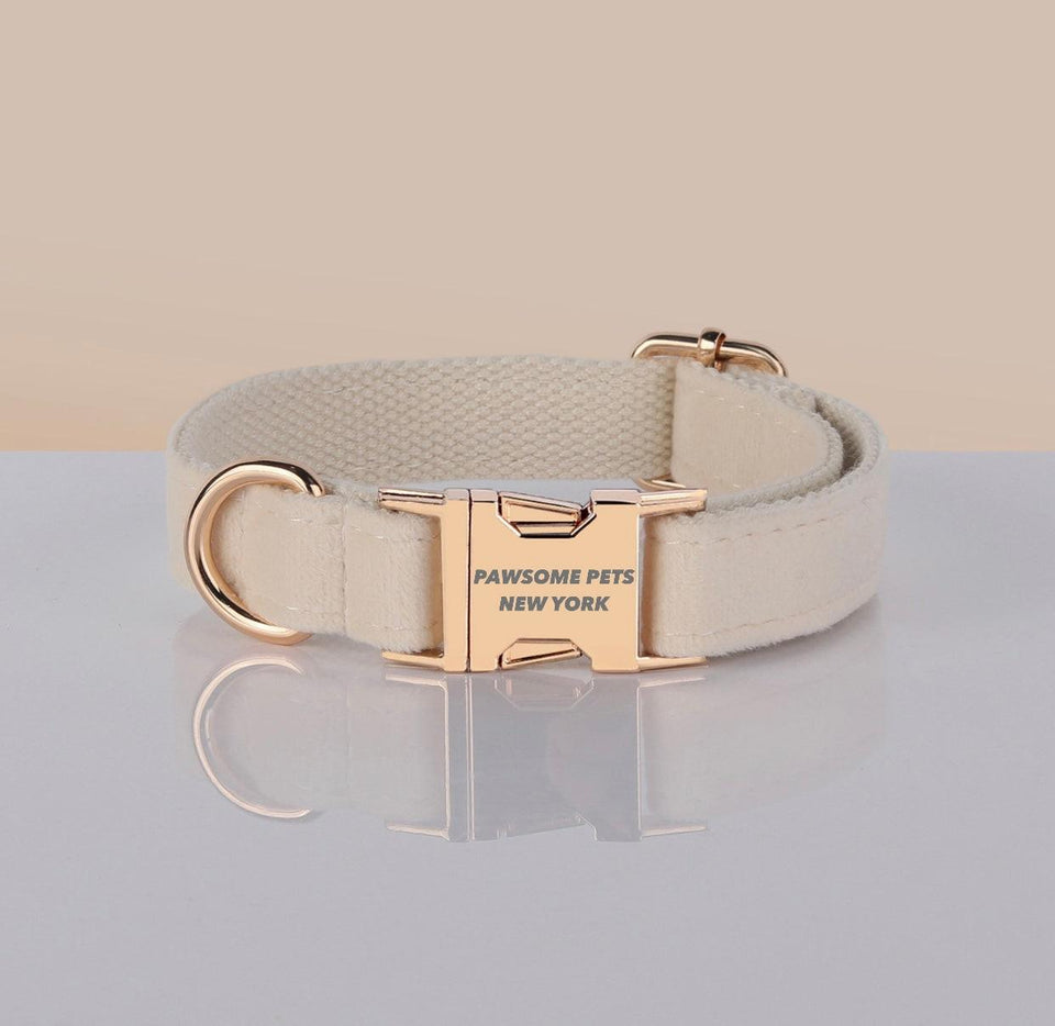 Adjustable Nylon Dog Collar - Quick-Release Buckle, XS
