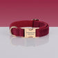Pawsome Adjustable Nylon Dog Collar - Quick - Release Buckle for Dogs & Cats - Pets Perfect