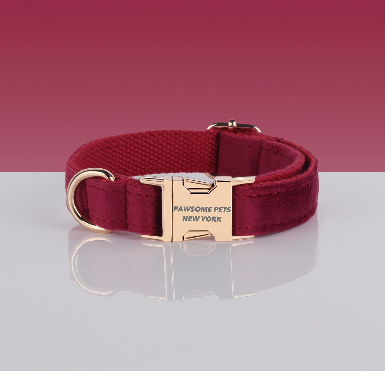 Pawsome Adjustable Nylon Dog Collar - Quick - Release Buckle for Dogs & Cats - Pets Perfect