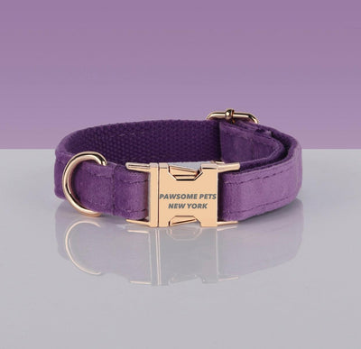 Adjustable Nylon Dog Collar - Quick-Release Buckle, XS