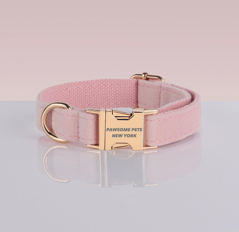 Pawsome Pets Adj. Nylon Dog Collar, Quick-Release Buckle for Secure, XS