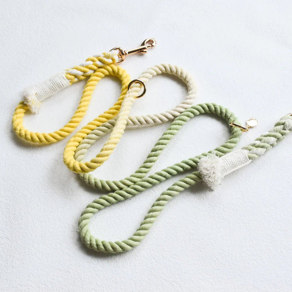 Hands-Free Dog Rope Dog Leash - Lime Lemonade, view 2
