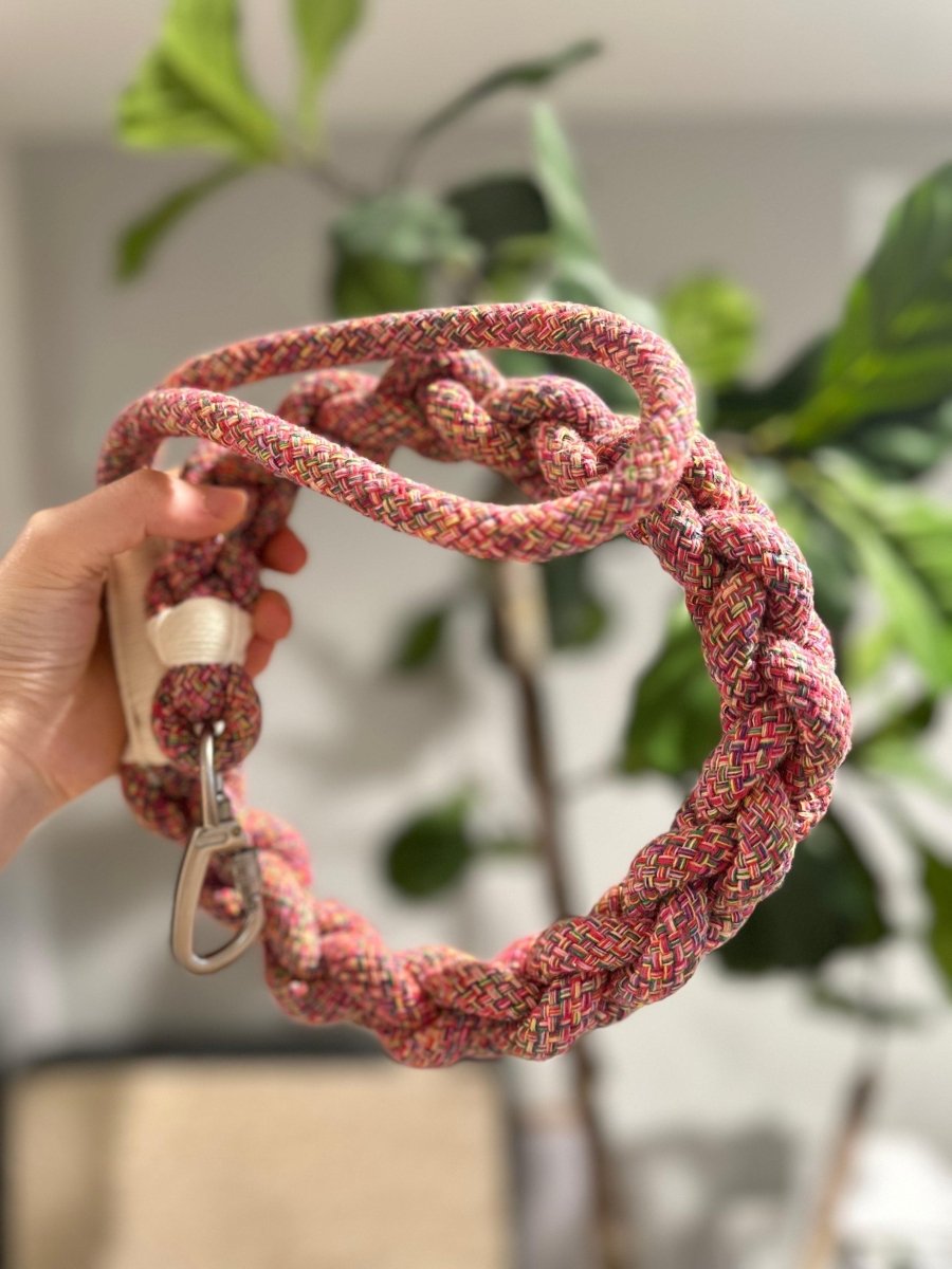 New: Handcrafted Rose Ember Dog Leash | Sustainable |Stylish - Pets Perfect