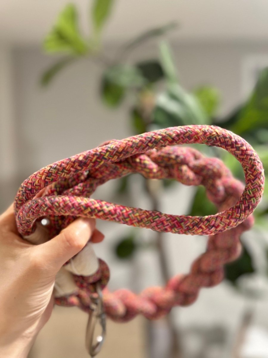 New: Handcrafted Rose Ember Dog Leash | Sustainable |Stylish - Pets Perfect