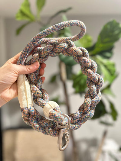 New: Handcrafted Rainbow Rover Dog Leash, Sustainable